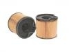 燃油濾清器 Fuel Filter:1906.51