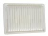 空氣濾清器 Air Filter:11090207V2